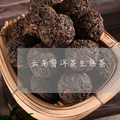 云南普洱茶生熟茶/2023041218260