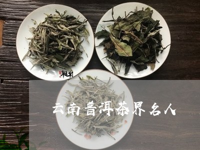 云南普洱茶界名人/2023031848258