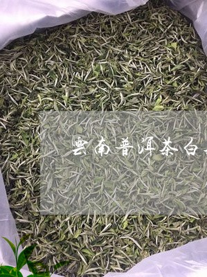 云南普洱茶白茶吗/2023040994820