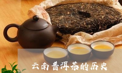 云南普洱茶的历史/2023031893047