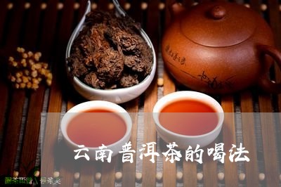 云南普洱茶的喝法/2023031769496