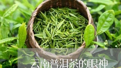 云南普洱茶的眼神/2023031868412