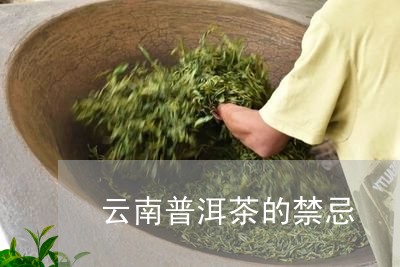 云南普洱茶的禁忌/2023031659203