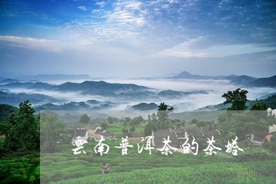 云南普洱茶的茶塔/2023031671726