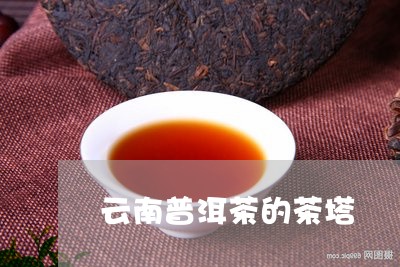 云南普洱茶的茶塔/2023041185038