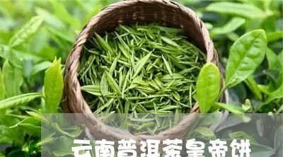 云南普洱茶皇帝饼/2023040966250