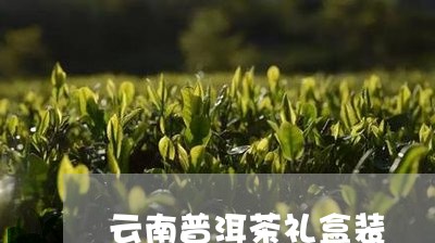 云南普洱茶礼盒装/2023040127573