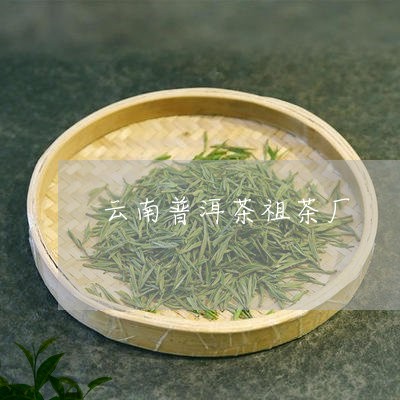 云南普洱茶祖茶厂/2023041158405