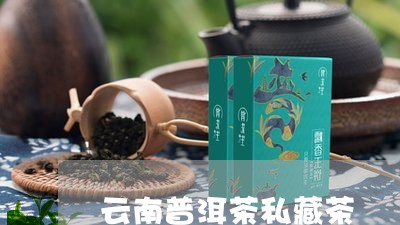 云南普洱茶私藏茶/2023031792750