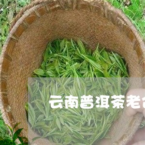 云南普洱茶老企业/2023041251603