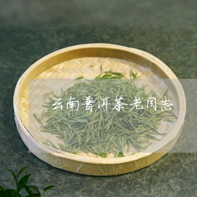 云南普洱茶老同志/2023031783705