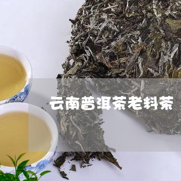 云南普洱茶老料茶/2023031705958