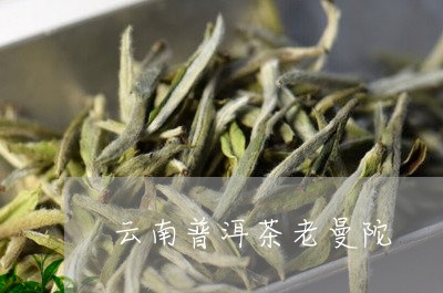 云南普洱茶老曼陀/2023040189391