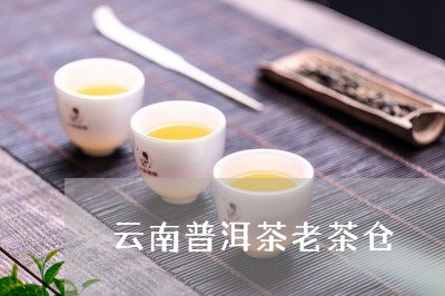 云南普洱茶老茶仓/2023041138683