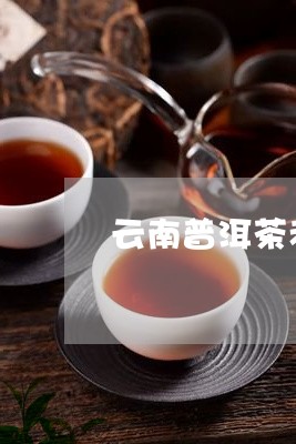 云南普洱茶老茶客/2023041027493