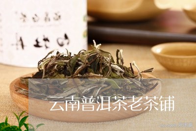 云南普洱茶老茶铺/2023041192717