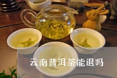 云南普洱茶能退吗/2023041024949