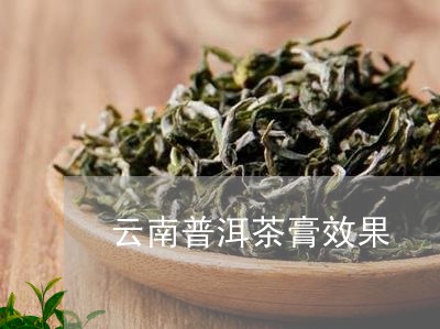 云南普洱茶膏效果/2023040998484