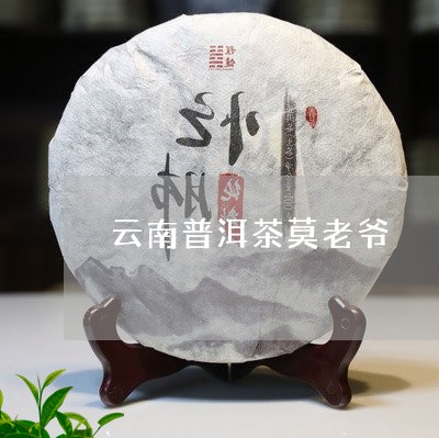 云南普洱茶莫老爷/2023041054974