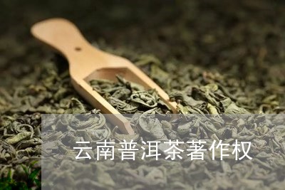 云南普洱茶著作权/2023041294169