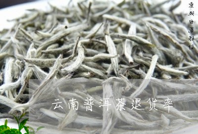 云南普洱茶退货率/2023041366258