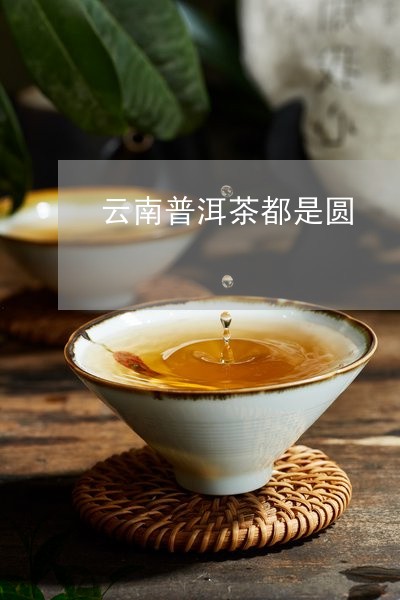 云南普洱茶都是圆/2023041052837