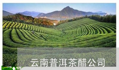 云南普洱茶醋公司/2023041077159