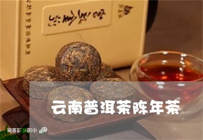 云南普洱茶陈年茶/2023041252716