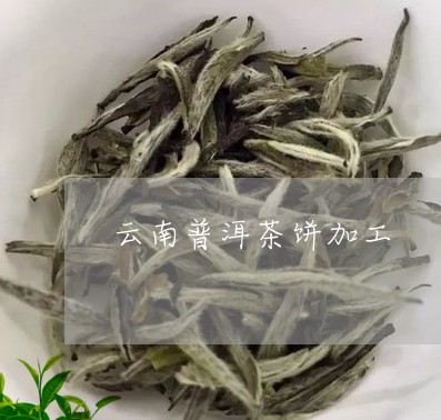 云南普洱茶饼加工/2023041146171