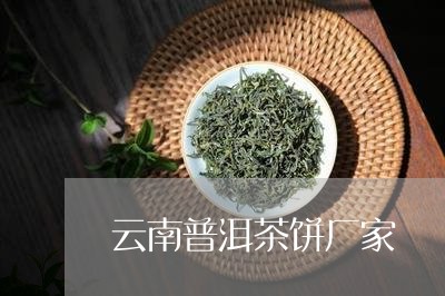 云南普洱茶饼厂家/2023041003036