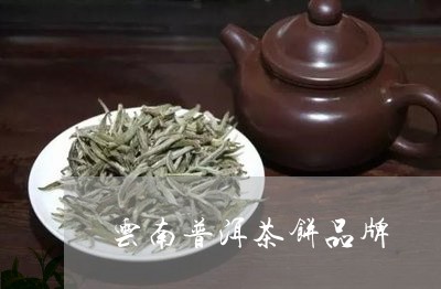 云南普洱茶饼品牌/2023041368371