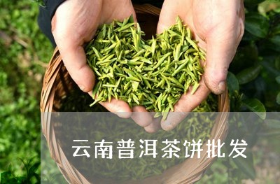 云南普洱茶饼批发/2023031617262