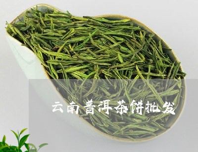 云南普洱茶饼批发/2023041277269