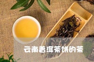 云南普洱茶饼的茶/2023041105140