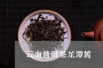 云南普洱茶龙潭箐/2023031664827