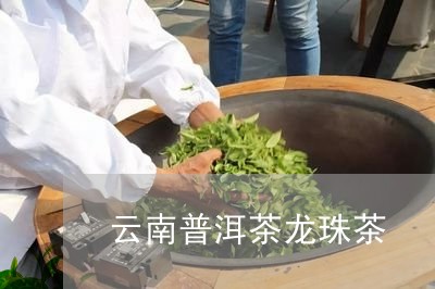 云南普洱茶龙珠茶/2023041231714