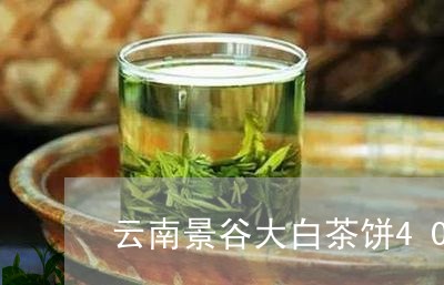 云南景谷大白茶饼400g/2023033059470