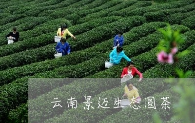 云南景迈生态圆茶/2023032546048