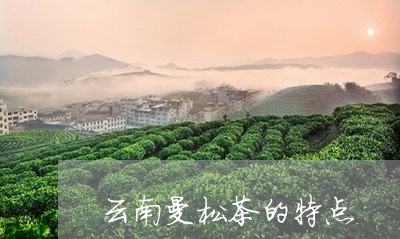 云南曼松茶的特点/2023041468371