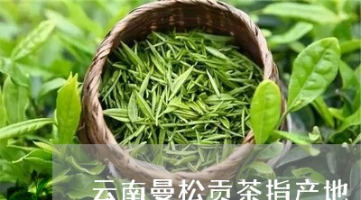 云南曼松贡茶指产地/2023041472824