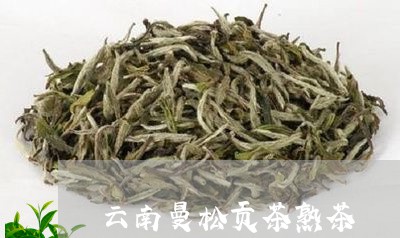 云南曼松贡茶熟茶/2023032203714