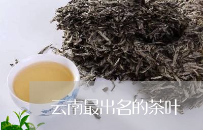 云南最出名的茶叶/2023041348461