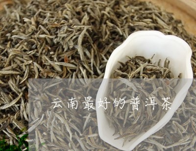 云南最好的普洱茶/2023031894926