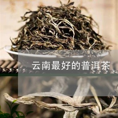 云南最好的普洱茶/2023041481826