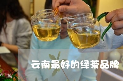 云南最好的绿茶品牌/2023032170050