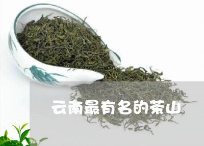 云南最有名的茶山/2023041439262