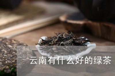 云南有什么好的绿茶/2023032233835