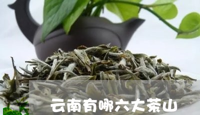 云南有哪六大茶山/2023041478595