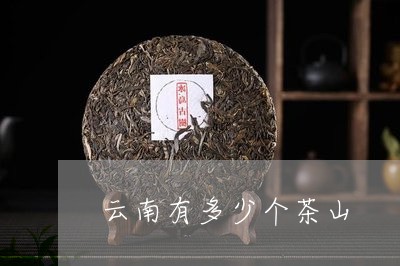 云南有多少个茶山/2023031802816