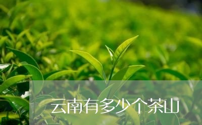 云南有多少个茶山/2023041494626